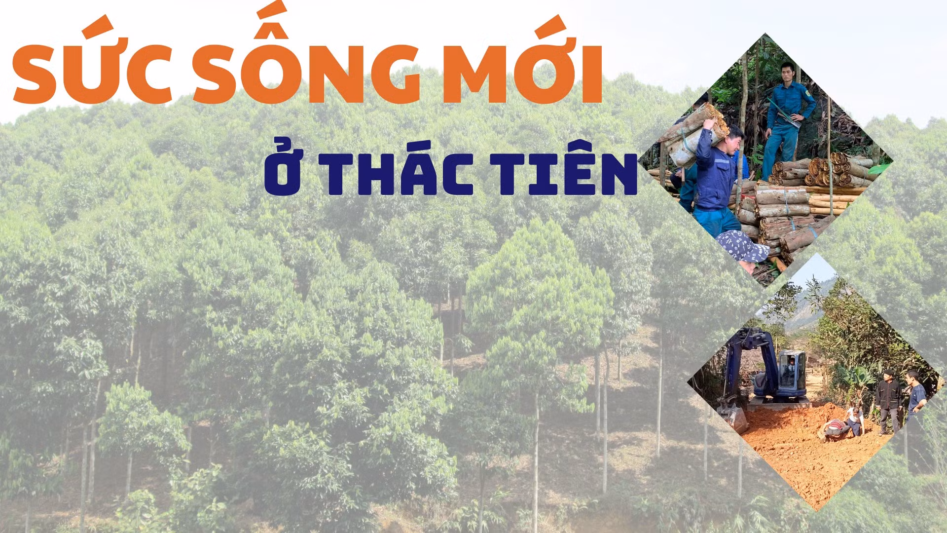 Sức sống mới ở Thác Tiên