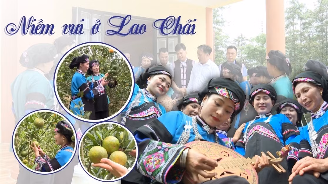 Niềm vui ở Lao Chải