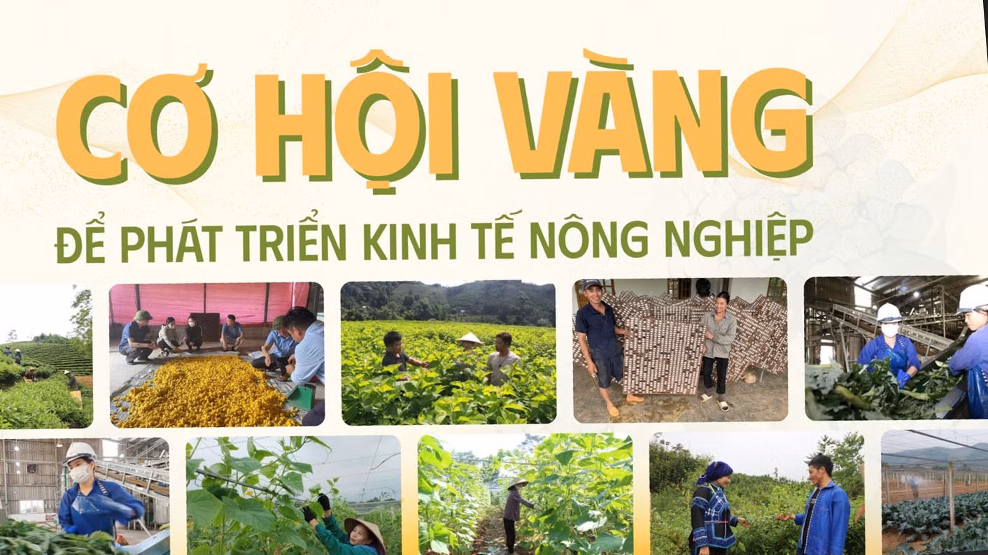 Cơ hội vàng để phát triển kinh tế nông nghiệp 