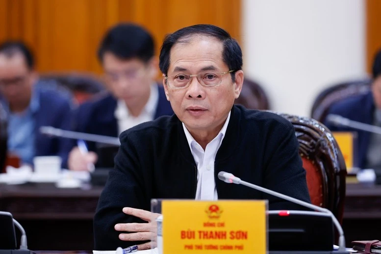 Phó Thủ tướng Bùi Thanh Sơn phát biểu tại phiên họp.