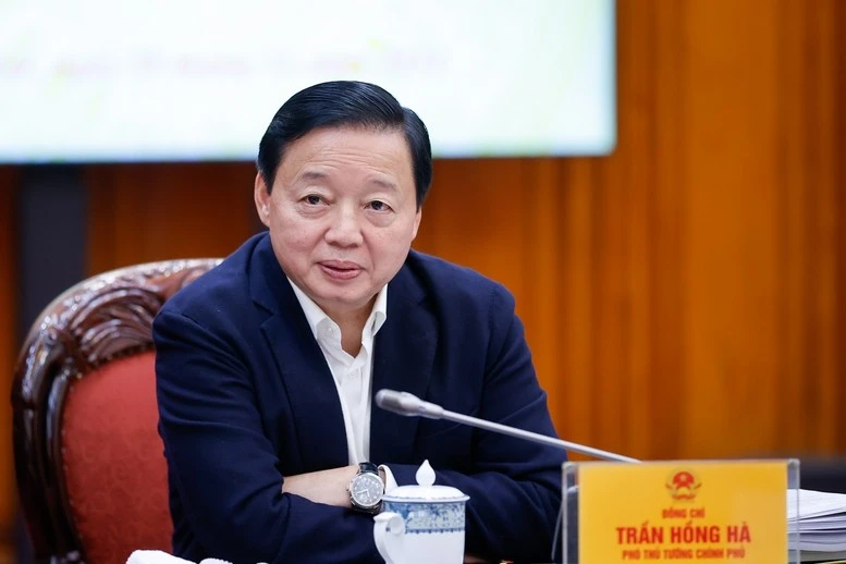 Phó Thủ tướng Trần Hồng Hà phát biểu tại phiên họp.