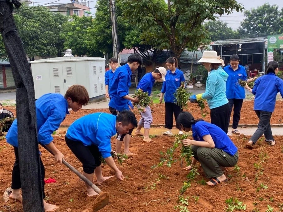 Tích cực tham gia các hoạt động vì cộng đồng.