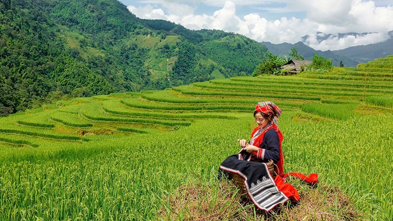 Vẻ đẹp của ruộng bậc thang Hoàng Su Phì. Vẻ đẹp của ruộng bậc thang Hoàng Su Phì.