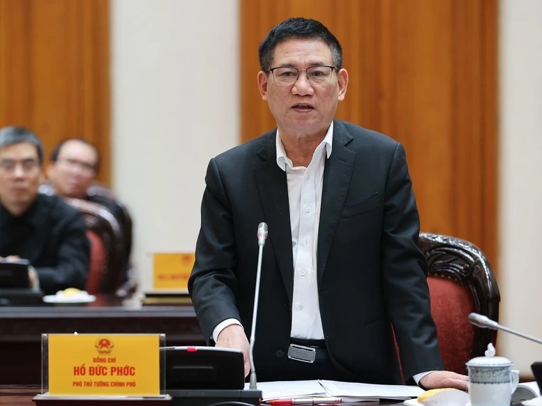 Phó Thủ tướng Hồ Đức Phớc phát biểu.
