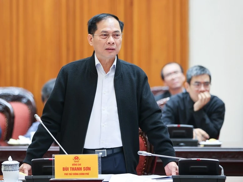 Phó Thủ tướng Bùi Thanh Sơn phát biểu.