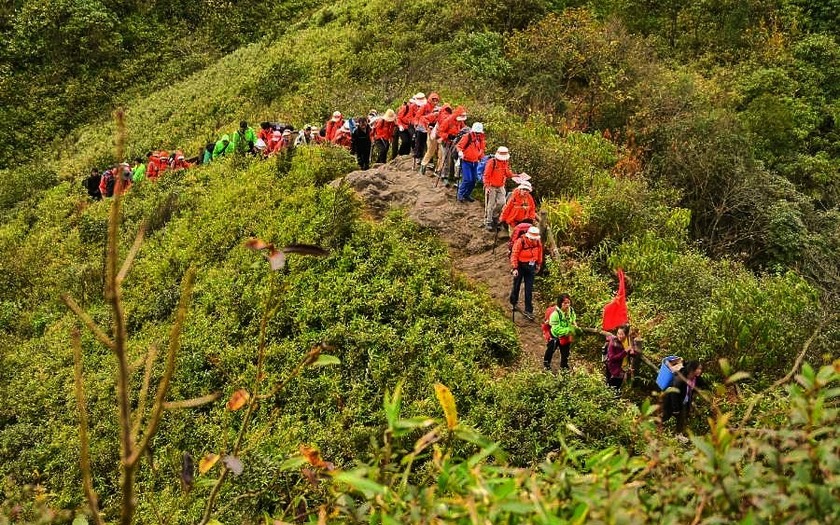 Với cả những du khách ưa thích mạo hiểm và du khách yêu thiên nhiên, trekking Fansipan là trải nghiệm để đời và độc đáo nhất khi du lịch Việt Nam. Với cả những du khách ưa thích mạo hiểm và du khách yêu thiên nhiên, trekking Fansipan là trải nghiệm để đời và độc đáo nhất khi du lịch Việt Nam.