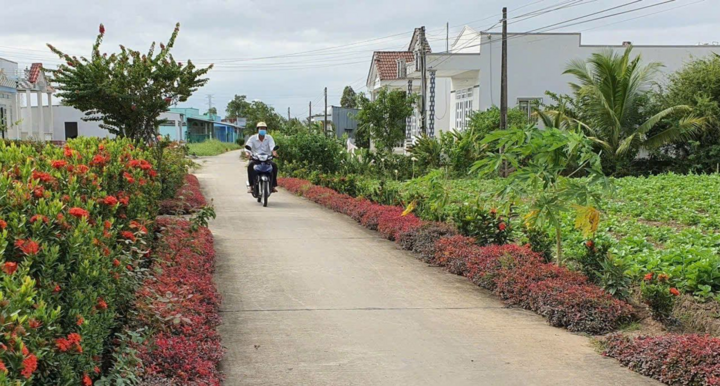 Tại tỉnh Cà Mau, chương trình xây dựng nông thôn mới trên địa bàn thời gian qua đạt nhiều kết quả nổi bật. Tại tỉnh Cà Mau, chương trình xây dựng nông thôn mới trên địa bàn thời gian qua đạt nhiều kết quả nổi bật.