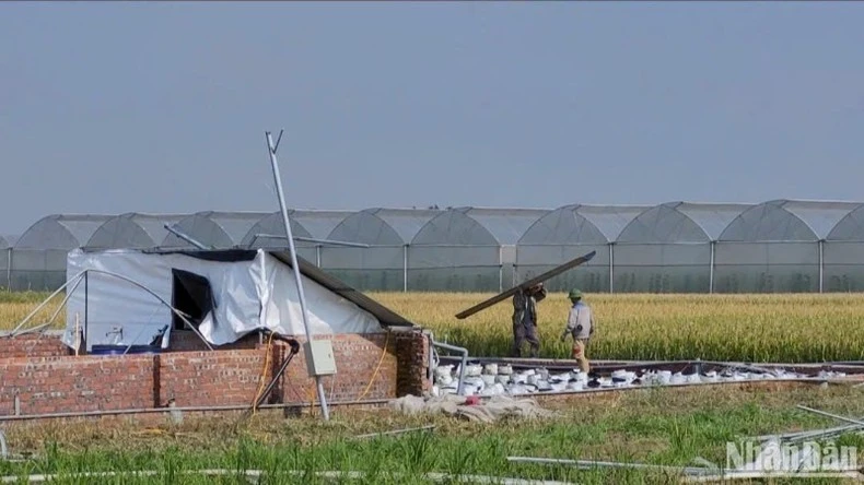 Người dân tích cực khắc phục hậu quả do bão Yagi gây ra.