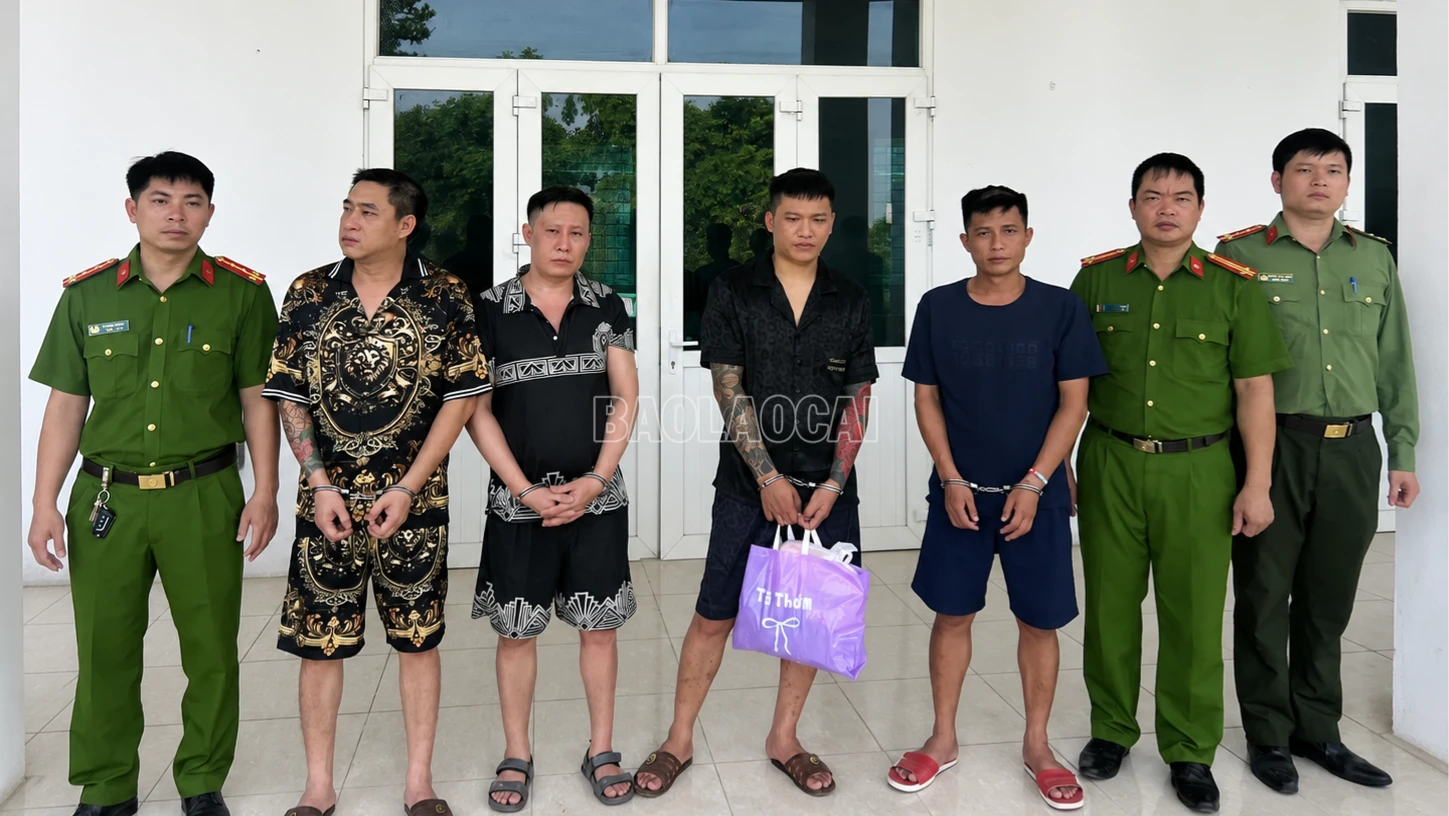 baolaocai-c_anh-1-4-doi-tuong-4334.png
