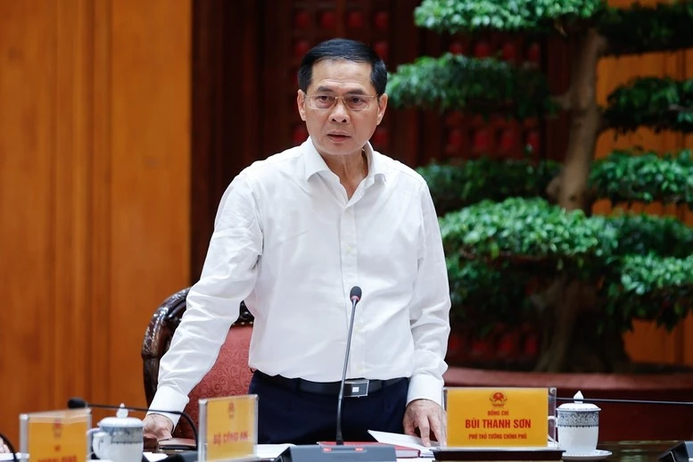 Phó Thủ tướng Chính phủ Bùi Thanh Sơn, Tổ trưởng Tổ công tác phát biểu tại cuộc họp.