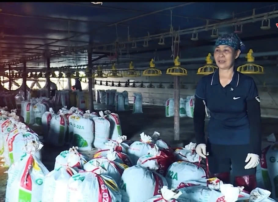 Hộ gia đình bà Trần Thị Tuyết mất trắng 20.000 con gà do lũ lụt đã được Agribank chi nhánh tỉnh Hà Nam tiếp sức cho vay mới tái đầu tư.