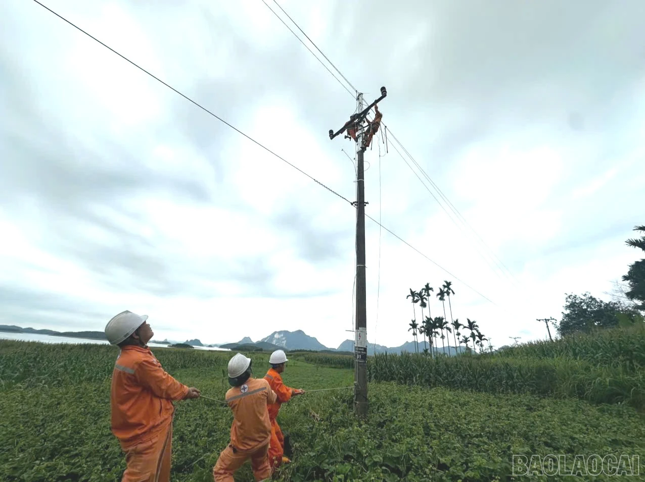 baolaocai-nang-khoang-cach-pha-dat-cot-30-31-dz-35kv-707.jpg