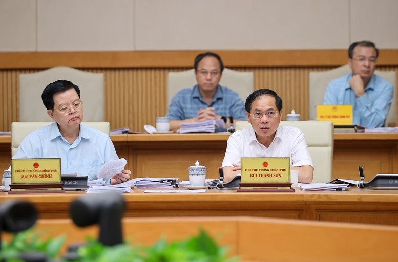 Phó Thủ tướng Bùi Thanh Sơn phát biểu.