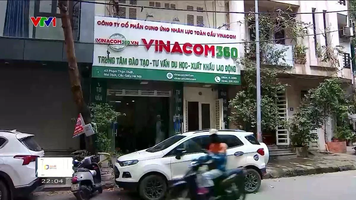 Người đại diện pháp luật, đồng thời là giám đốc công ty này, thừa nhận doanh nghiệp không có giấy phép đưa người lao động đi làm việc ở nước ngoài theo hợp đồng mà chỉ đóng vai trò trung gian, tìm kiếm lao động cho các đơn vị khác và nhận hoa hồng theo từng hồ sơ.