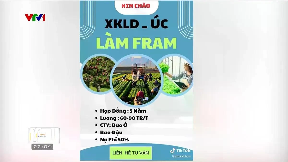 Trên mạng xã hội, nhiều quảng cáo mời gọi đi lao động nước ngoài với những cam kết hấp dẫn như: hỗ trợ nợ phí 50%, lương từ 80 đến 100 triệu đồng/tháng, không giới hạn độ tuổi, không yêu cầu học tiếng hay tham gia đào tạo.