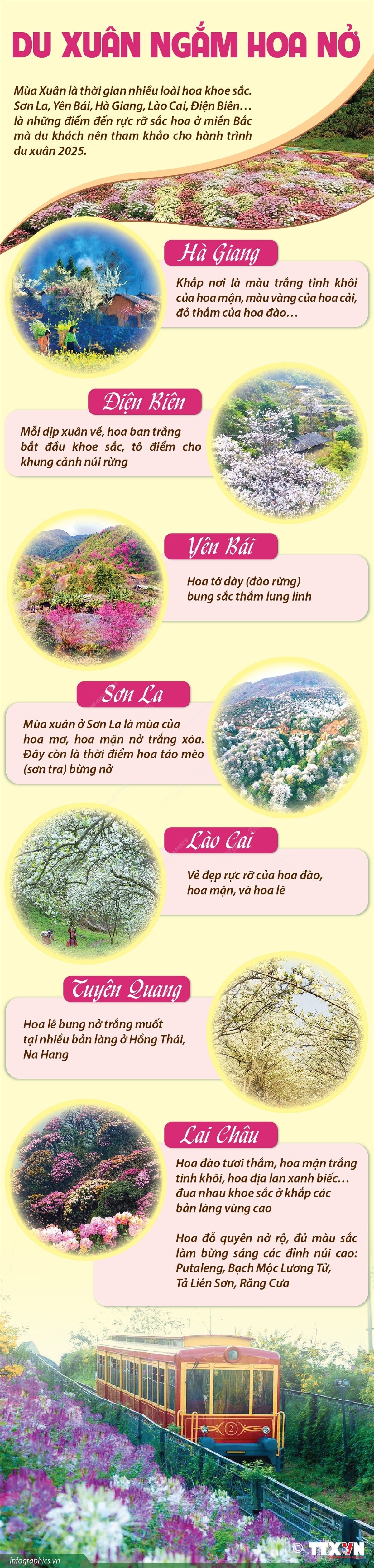 du-xuan-ngam-hoa-no.jpg