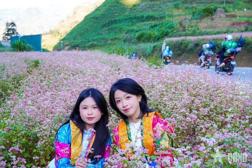 Giữa không gian hùng vĩ, cảnh quan thiên nhiên hòa cùng nét đẹp văn hóa của đồng bào các dân tộc, khiến miền đá như thức giấc trong sắc hồng tam giác mạch đầu đông.