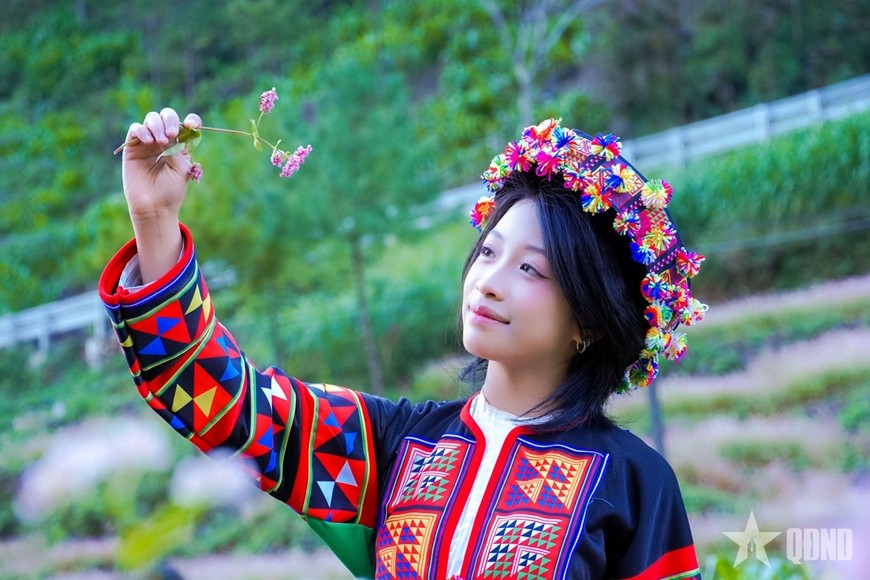 Thiếu nữ Lô Lô nâng niu đóa tam giác mạch giữa không gian trong trẻo của miền đá Tuyên Quang.