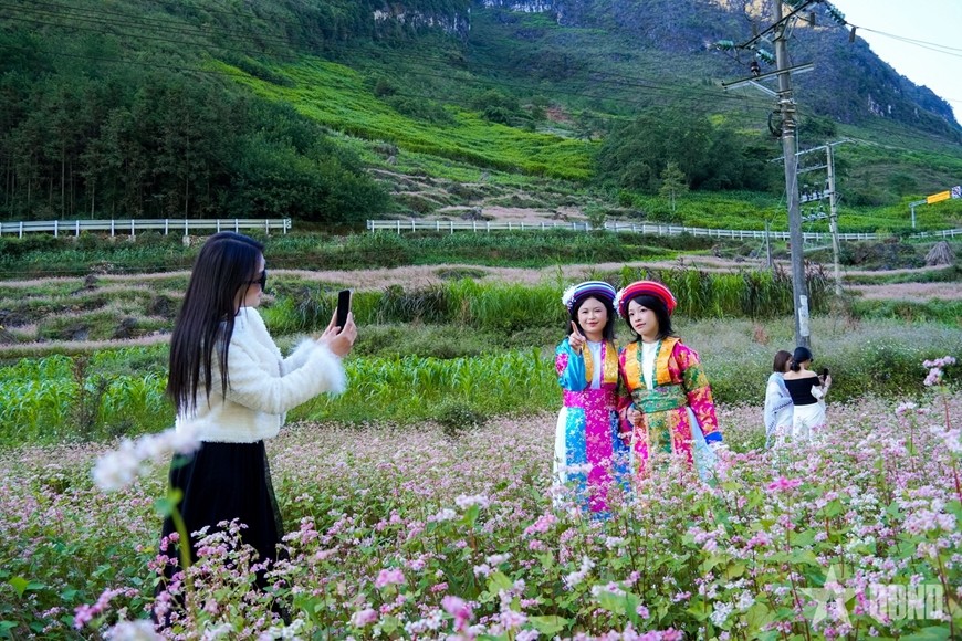 Du khách thích thú ghi lại khoảnh khắc giữa thảm hoa tam giác mạch.