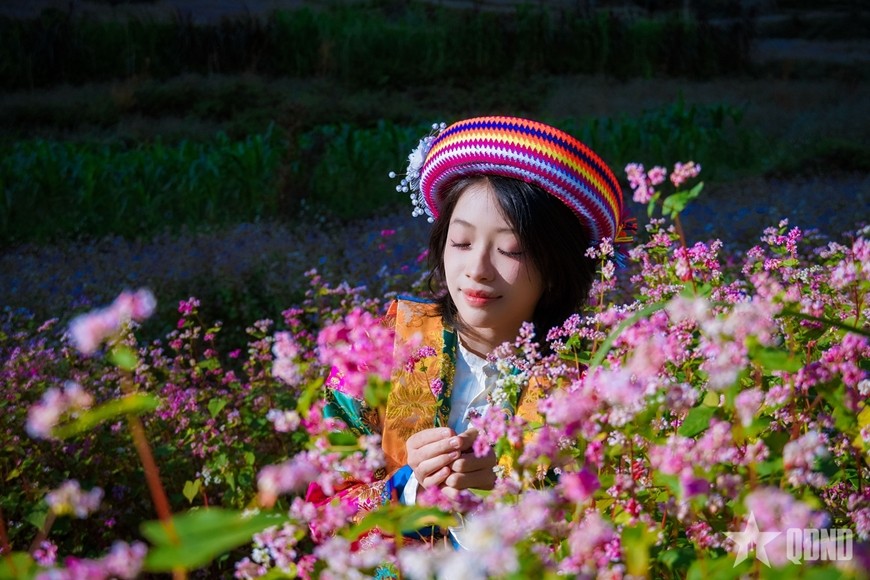 Dưới nắng vàng đầu đông, sắc hồng tam giác mạch hòa cùng trang phục truyền thống, tôn lên vẻ trong trẻo và duyên dáng của thiếu nữ vùng cao.