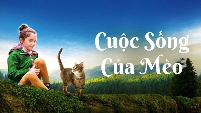 Phim "Cuộc sống của mèo".