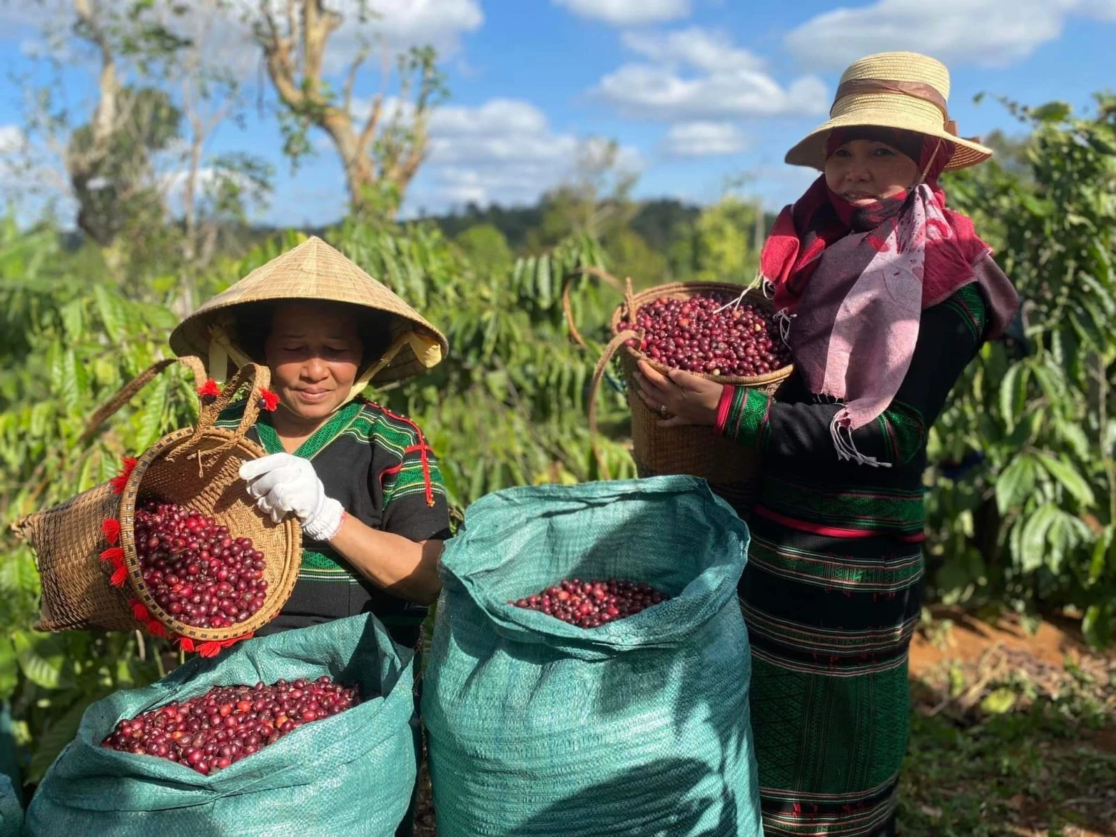 Việt Nam có lợi thế đặc biệt về phát triển nông nghiệp.