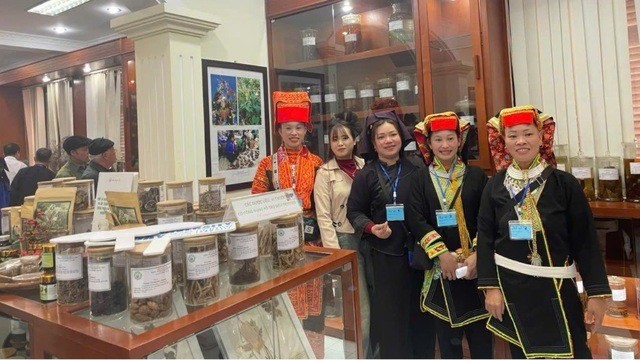 Hoạt động đào tạo giúp gìn giữ tri thức bản địa và nâng cao kỹ năng trồng, chế biến cây thuốc cho các “ông lang, bà mế” vùng cao 143-1760599050970360587332-4678.jpg