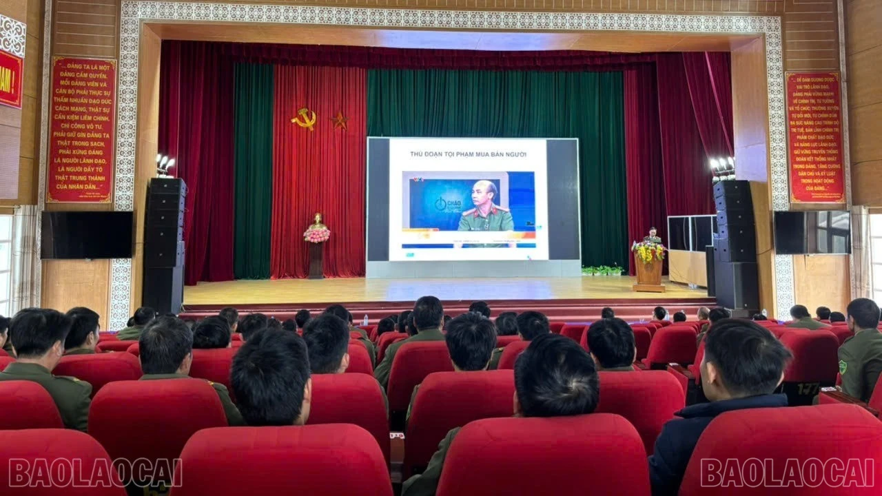 baolaocai-bl-z7366532408455-2736d8cd7773f04c6abd48c3f733cf92.jpg