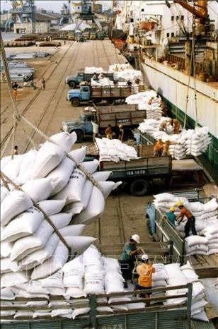 Việt Nam tiếp tục là nước xuất khẩu gạo lớn trên thế giới. Trong ảnh: Xuất khẩu gạo tại cảng Hải Phòng.