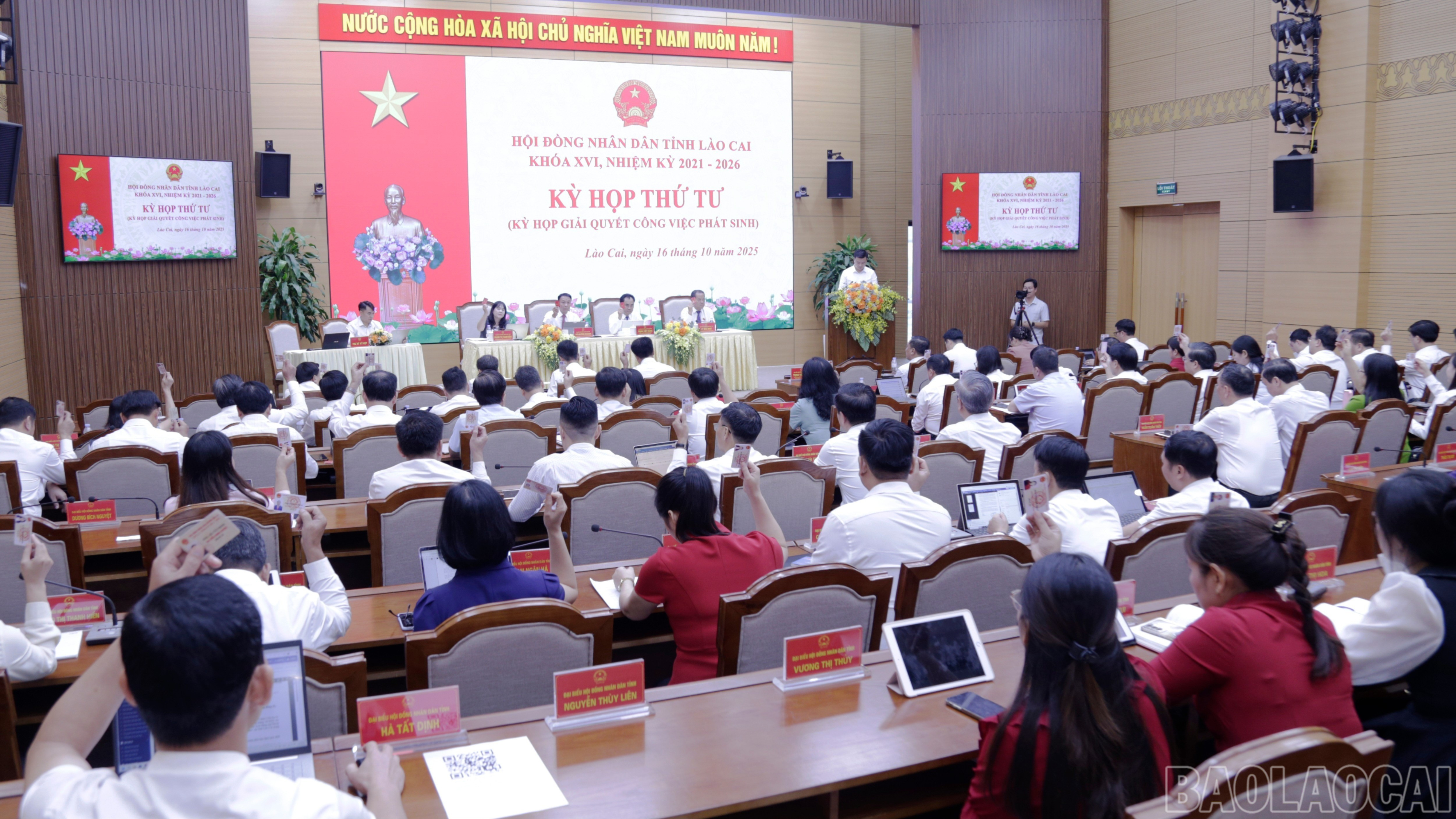 Các đại biểu biểu quyết thông qua các nghị quyết baolaocai-br-mg-0009.jpg