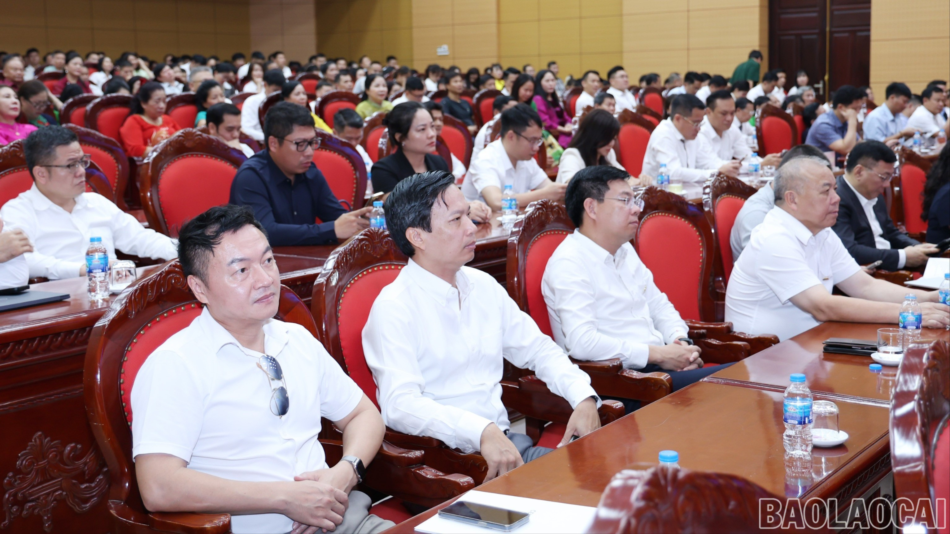 baolaocai-br-img-8396.jpg