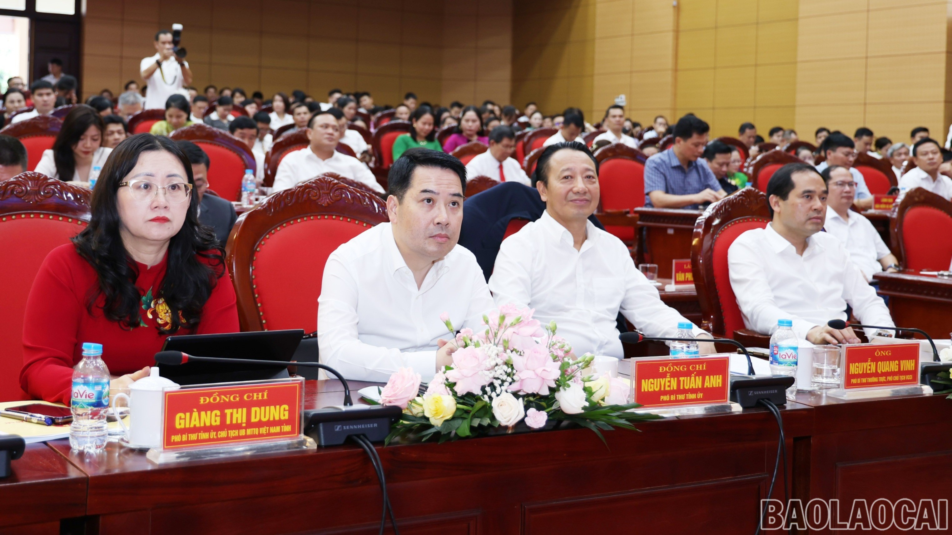 baolaocai-br-img-8495.jpg