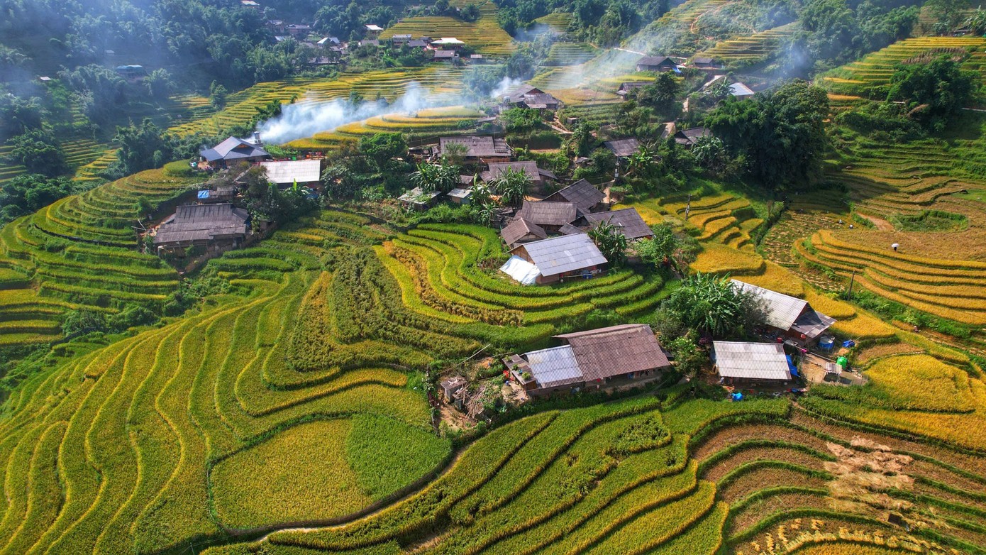 Giữa những thửa ruộng bậc thang óng ả, các bản làng hiện lên san sát, tạo nên bức tranh bình yên, sống động. Giữa những thửa ruộng bậc thang óng ả, các bản làng hiện lên san sát, tạo nên bức tranh bình yên, sống động.