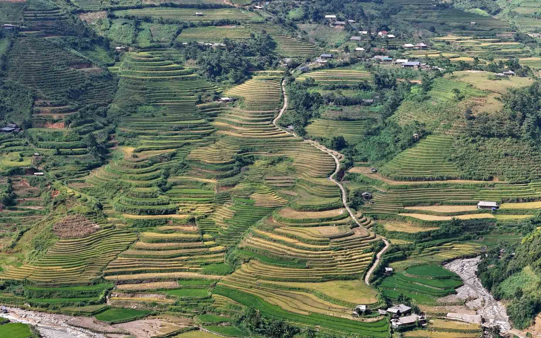 Từ trên cao, khung cảnh ruộng bậc thang xếp tầng dưới chân đèo hiện ra rõ nét, mang lại cho du khách cảm giác vừa thư thái, vừa choáng ngợp. Từ trên cao, khung cảnh ruộng bậc thang xếp tầng dưới chân đèo hiện ra rõ nét, mang lại cho du khách cảm giác vừa thư thái, vừa choáng ngợp.