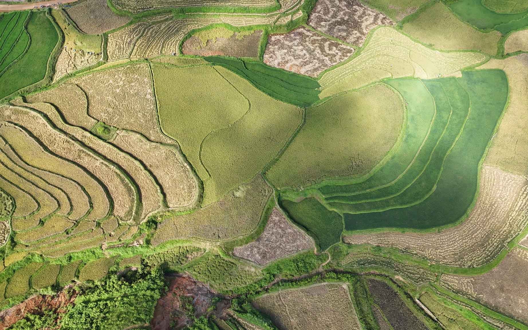 Thời điểm giữa tháng 9 thường là lúc lúa chín rộ, thu hút đông đảo khách du lịch trong và ngoài nước. Chính vì vậy, việc lập kế hoạch sớm và đăng ký trước sẽ giúp hạn chế tình trạng chờ đợi. Thời điểm giữa tháng 9 thường là lúc lúa chín rộ, thu hút đông đảo khách du lịch trong và ngoài nước. Chính vì vậy, việc lập kế hoạch sớm và đăng ký trước sẽ giúp hạn chế tình trạng chờ đợi.