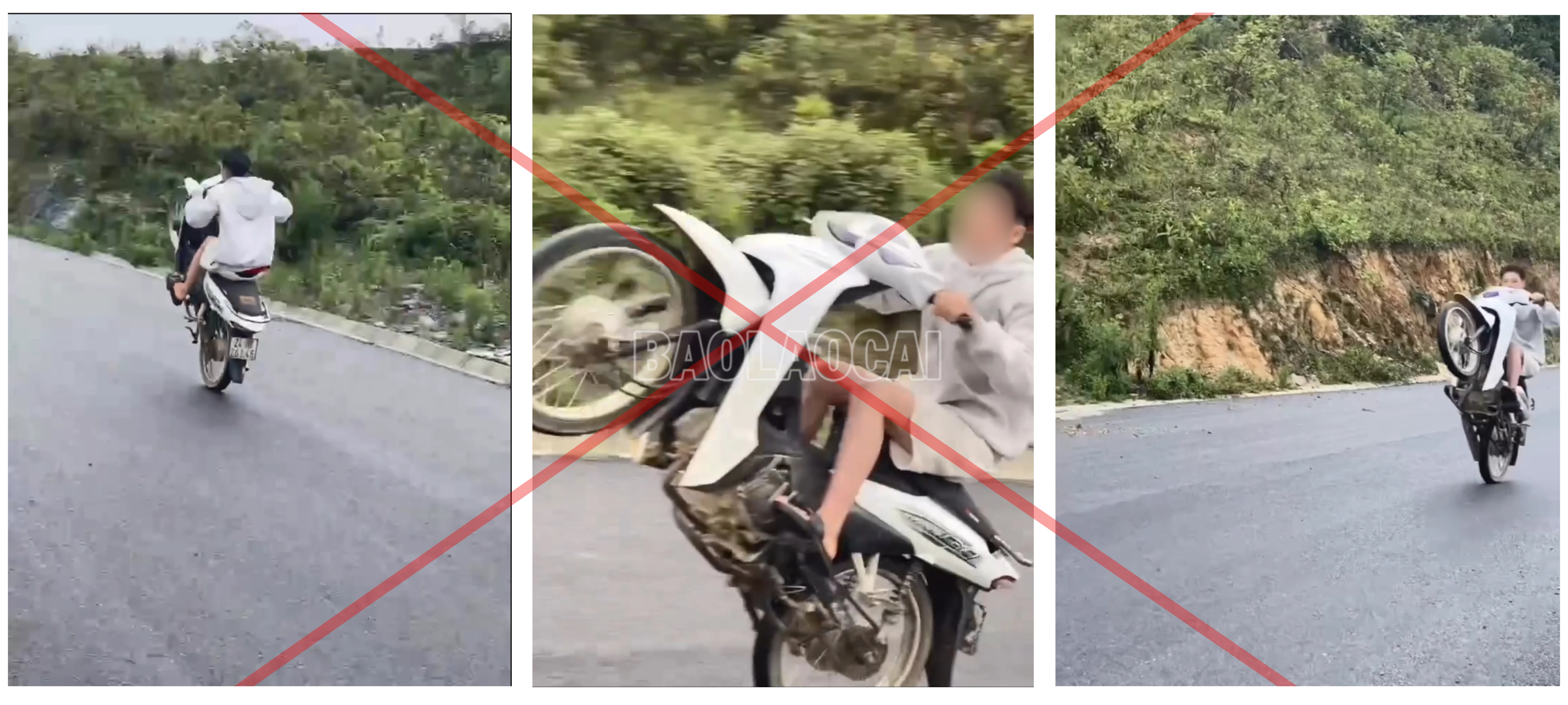 baolaocai-c_anh1.png