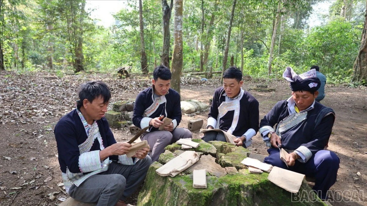 baolaocai-br_chuan-bi-le-cung-rung.jpg