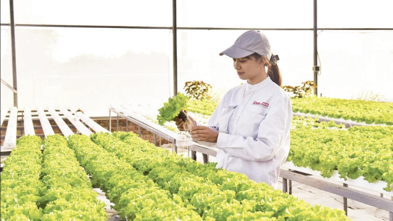 Mô hình trang trại thông minh Delco Farm tại xã Thuận Thành, tỉnh Bắc Ninh được xây dựng và thiết kế theo tiêu chuẩn công nghệ cao.