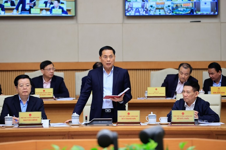 Phó Thủ tướng Bùi Thanh Sơn phát biểu.