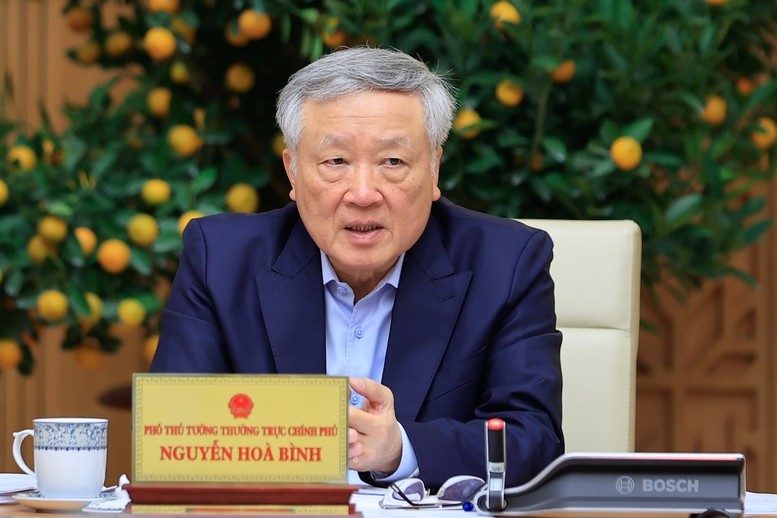 Phó Thủ tướng Thường trực Chính phủ Nguyễn Hòa Bình phát biểu.