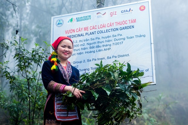 Tại Sa Pa, dịch vụ tắm lá thuốc người Dao đỏ đã trở thành sản phẩm du lịch đặc trưng, thu hút đông đảo du khách trong và ngoài nước. Tại Sa Pa, dịch vụ tắm lá thuốc người Dao đỏ đã trở thành sản phẩm du lịch đặc trưng, thu hút đông đảo du khách trong và ngoài nước.