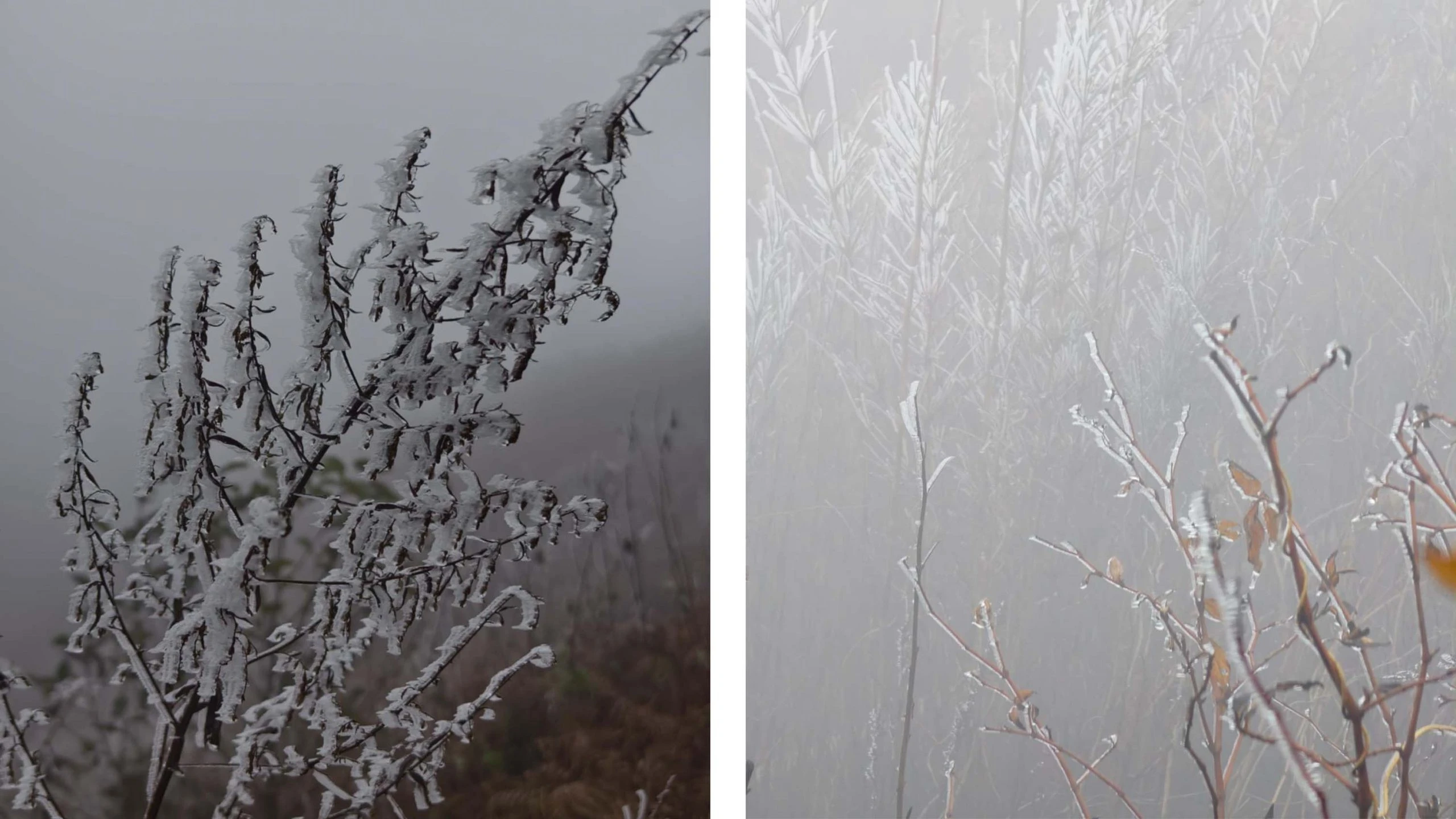 Anh Cung chia sẻ, hành trình chinh phục đỉnh Lảo Thẩn tuy không quá khó nhưng đòi hỏi sự chuẩn bị kỹ lưỡng cả về trang phục lẫn thể lực. Du khách cần mang theo quần áo giữ ấm, giày leo núi có độ bám tốt để chống trơn trượt và thực phẩm đủ dùng trong suốt chuyến đi.