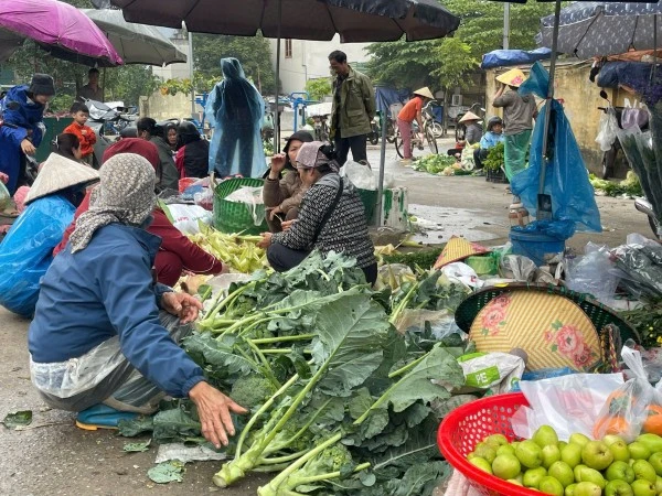 Rau xanh sau Tết phong phú.