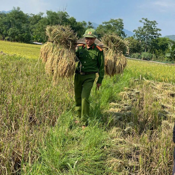 Despite the hot weather, the working atmosphere and enthusiastic spirit of the officers and soldiers of Nghia Do Commune Police helped spread the joy of a good harvest. Bất chấp thời tiết nắng nóng, không khí lao động và tinh thần làm việc hăng say, nhiệt tình của cán bộ, chiến sĩ Công an xã Nghĩa Đô đã giúp niềm vui được mùa thêm lan tỏa.