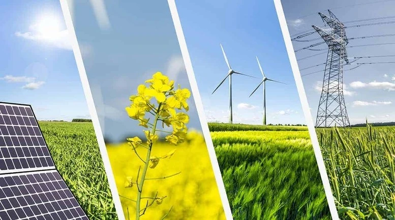 Vai trò chủ đạo của kinh tế nhà nước phải thể hiện ở khả năng mở đường, kiến tạo và dẫn dắt phát triển, đặc biệt trong các lĩnh vực công nghiệp môi trường, các ngành kinh tế xanh và tuần hoàn.