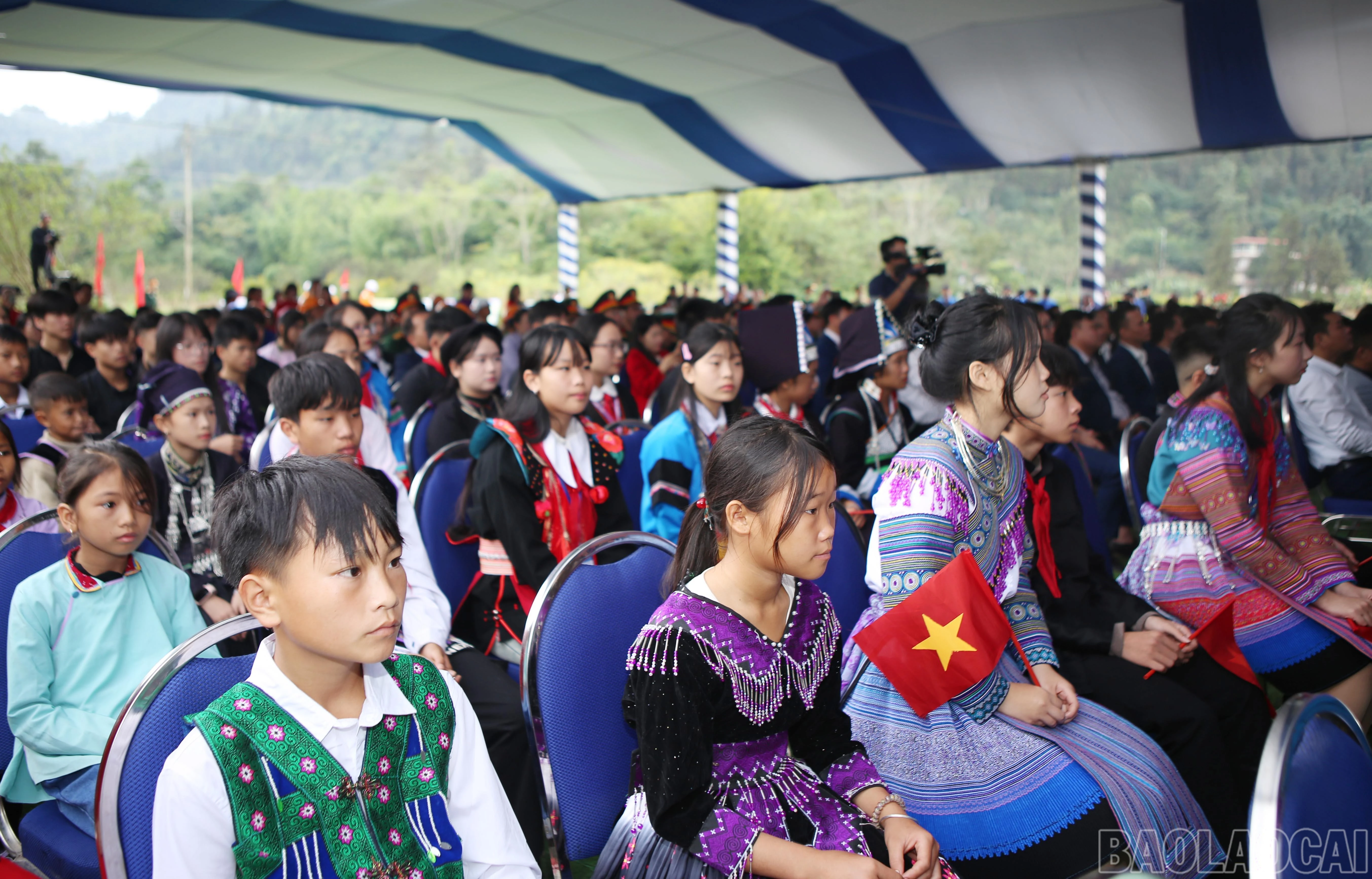 baolaocai-br_z7204796584997-da650239fc53ebc6defa9602d6facc68.jpg