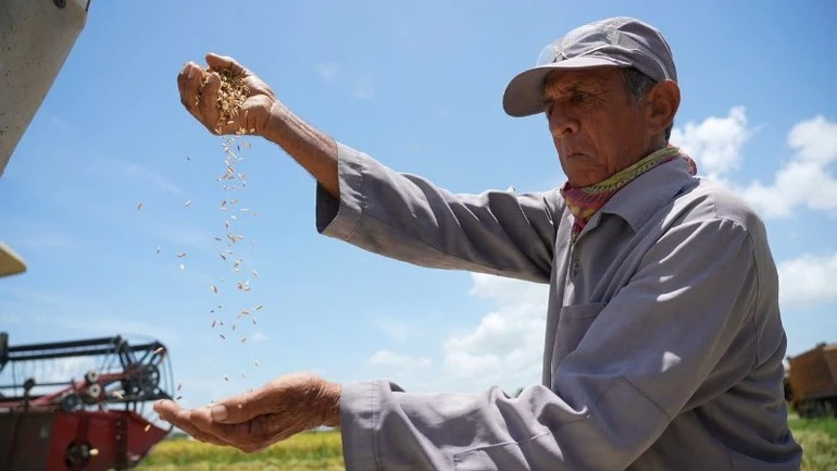 Phim sử dụng lối kể chuyện điện ảnh trực tiếp, giàu cảm xúc, có sự đầu tư công phu về hình ảnh, âm nhạc và tư liệu.