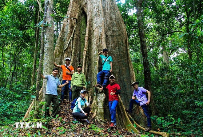 Du khách khám phá rừng nguyên sinh tại Khu Bảo tồn Thiên nhiên-Văn hóa Đồng Nai.