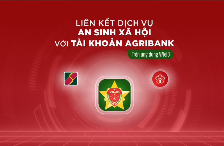 Phương thức chính được triển khai là nhận tiền qua tài khoản an sinh xã hội trên VNeID, kết hợp chi trả trực tiếp khi cần thiết theo hướng dẫn của địa phương.