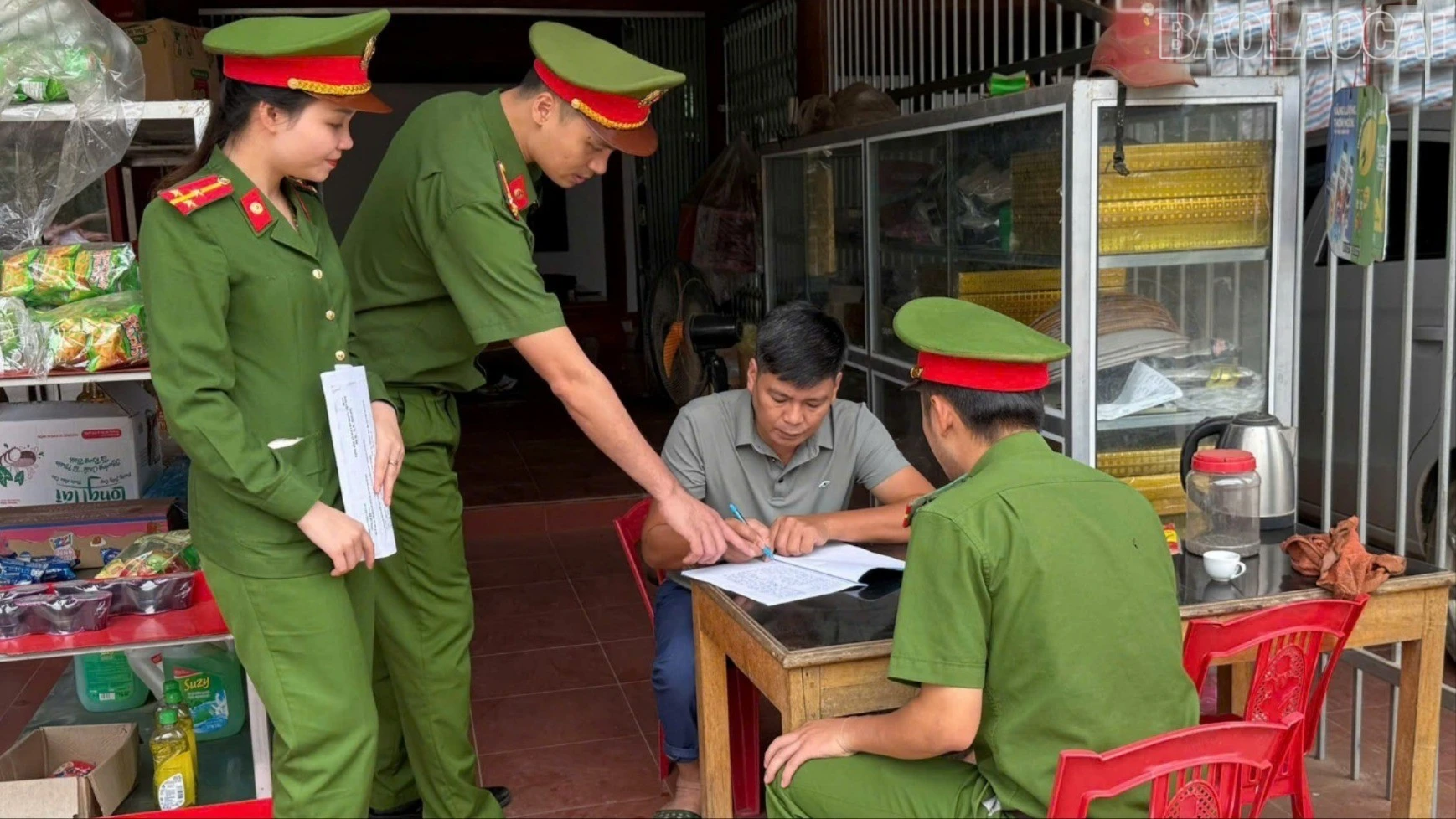 baolaocai-tr_image-1-1414.jpg
